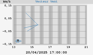 Wind Vector